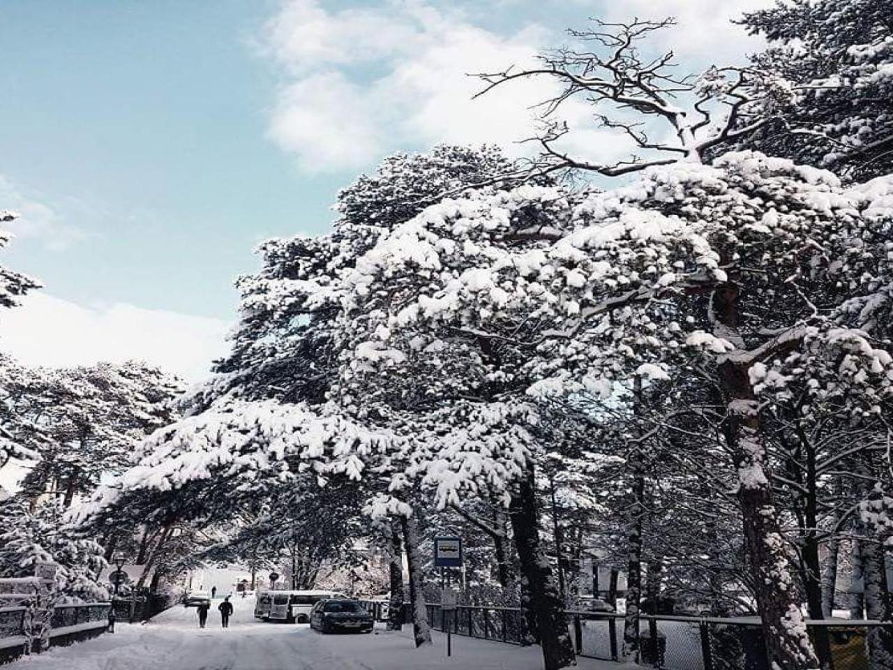 索波特渔夫广场旅馆住宿加早餐旅馆 外观 照片